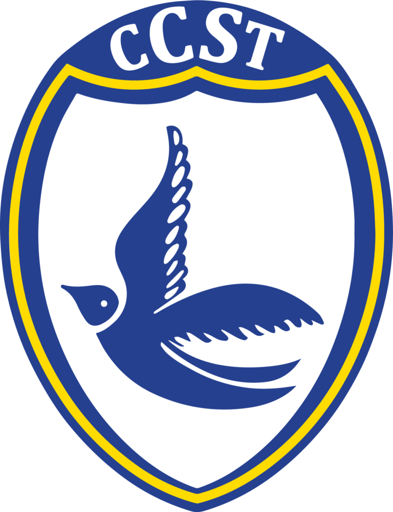 CCST_logo-original-colours – Cardiff City Supporters' Trust